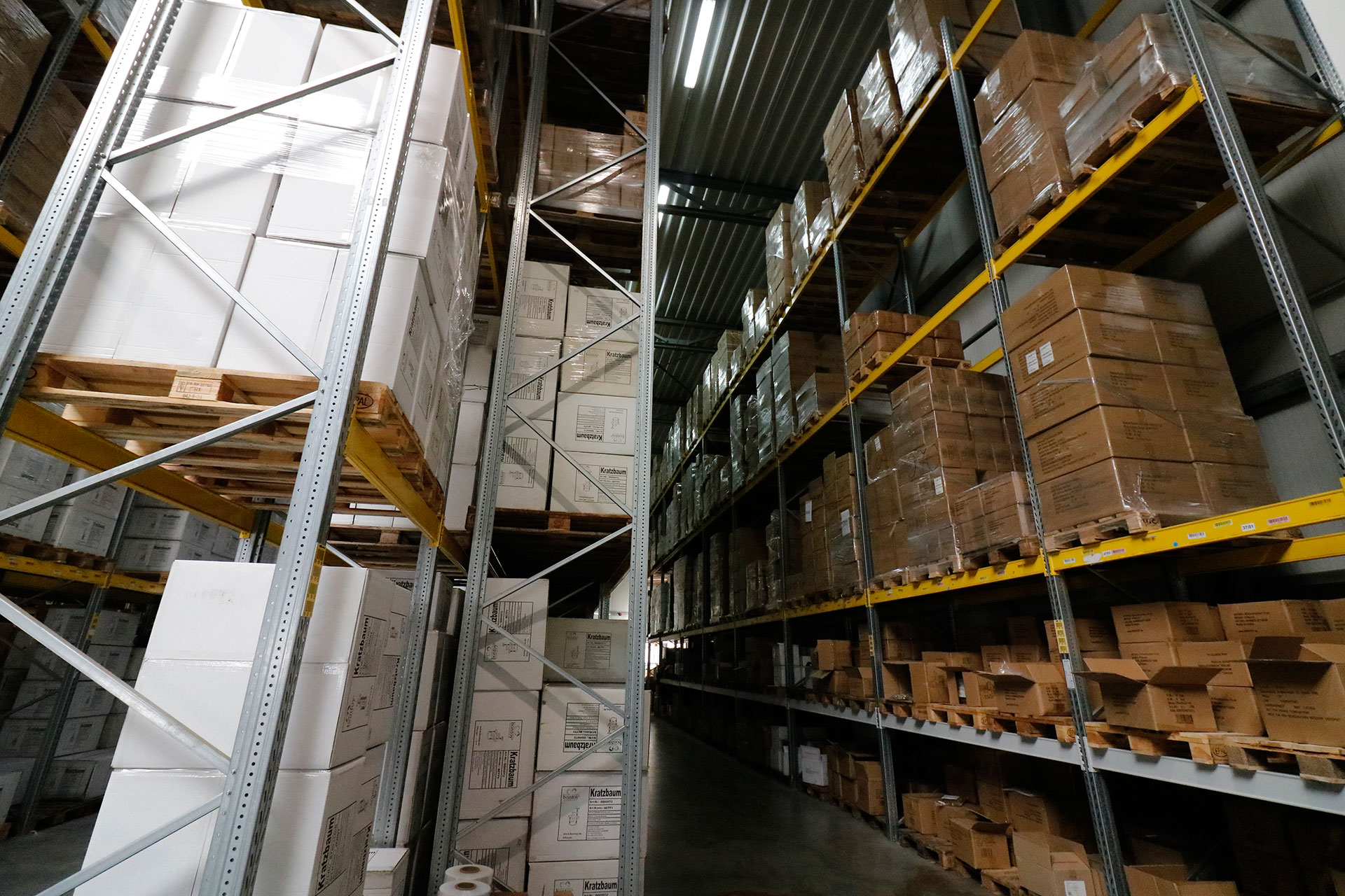 Webagentur-Meerbusch - Fotoshooting